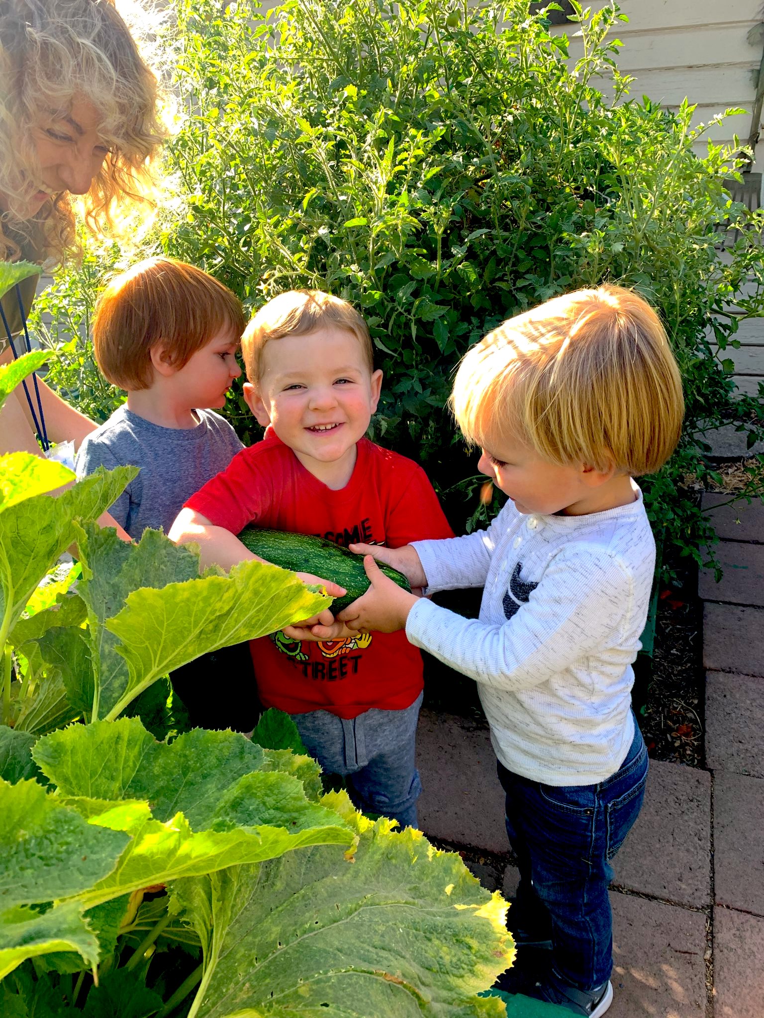 Garden – Fairmont Private School of Fresno